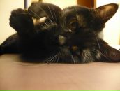 Фотография Шуновой Александры