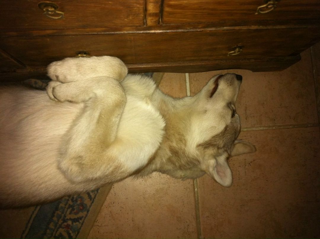 Александр Очков фотография #27