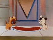 Фотография Чепровой-Фотон Светы Светланы