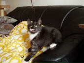 Антон Штанке фотография #46 (источник - https://vk.com/id937277)