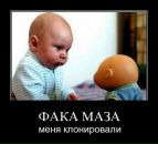 Дмитрий Зацепин фотография #25 (источник - https://vk.com/id2664635)