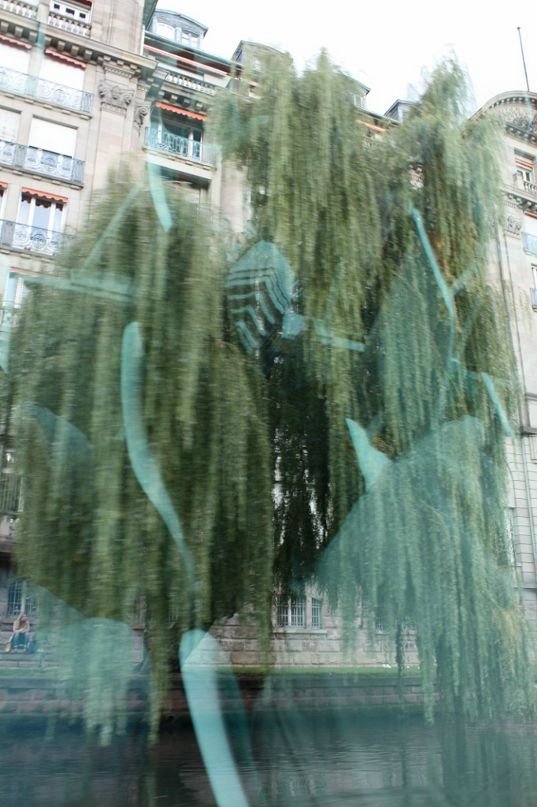 Дмитрий Ли фотография #29