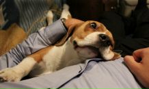 Igor Bolmanenkov фотография #42 (источник - https://vk.com/id2267085)