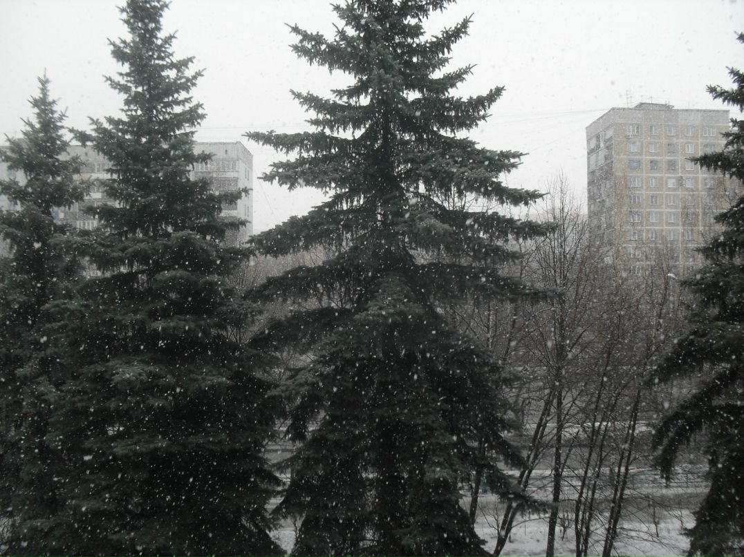 Joee Jo фотография #8