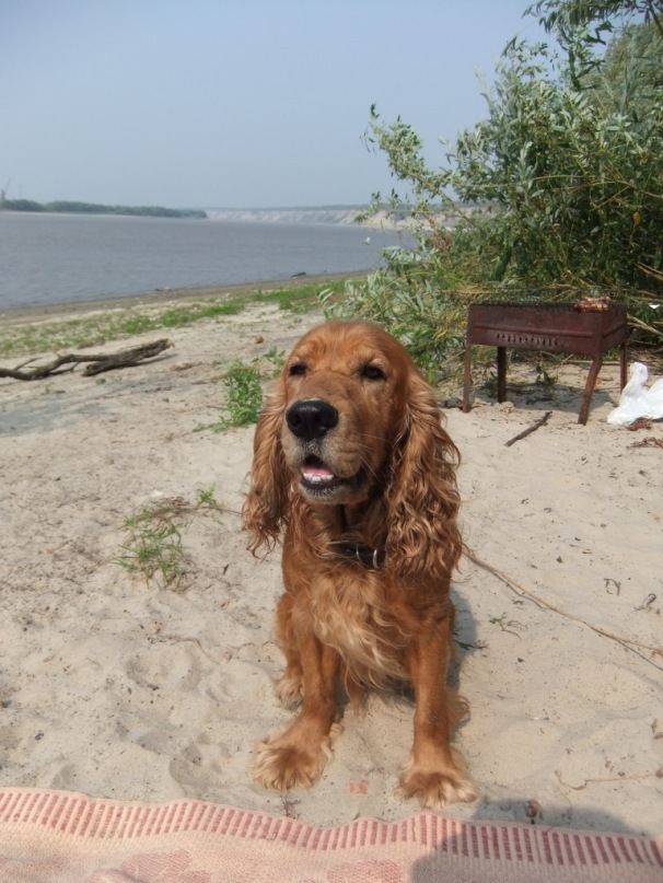 Николай Пластков фотография #3