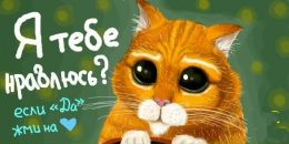 Андрій Хомищак фотография #50 (источник - https://vk.com/id70294126)