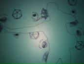 Фотография Селезневой Елены