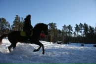 Фотография Winehouse Rowena