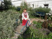 Фотография  