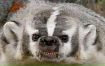 Фотография Масленниковой Елены