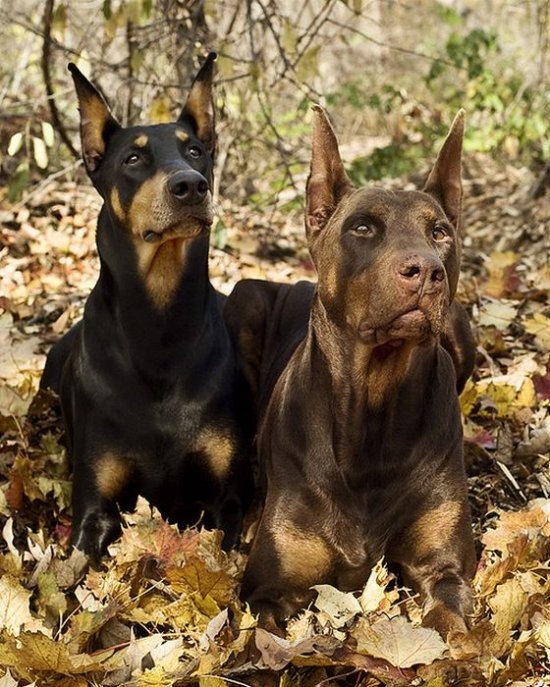 Дмитрий Скакун фотография #14