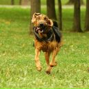 Оксана Сідляренко фотография #1