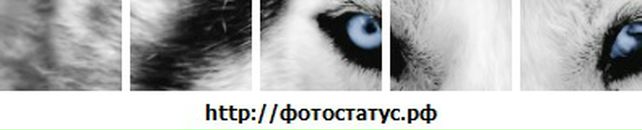 Ігорьок Лихацький фотография #17 (источник - https://vk.com/id117523521)