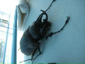 Александр Игнатенко фотография #49 (источник - https://vk.com/id24388063)