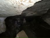 Фотография Чащиной Ольги