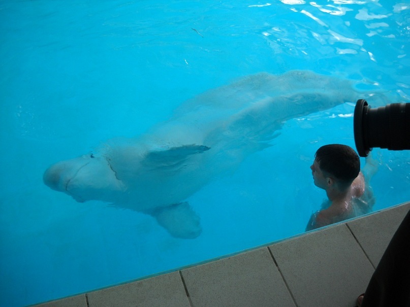 Саня Евсюткин фотография #44