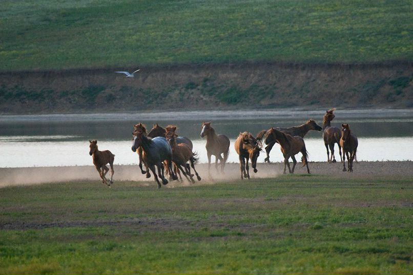 Рустам Чотчаев фотография #9