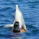 Фотография Сениной Анны