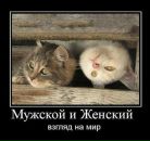 Фотография Соболя Ивана