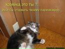 Андрій Тибулевич фотография #42 (источник - https://vk.com/id137768143)