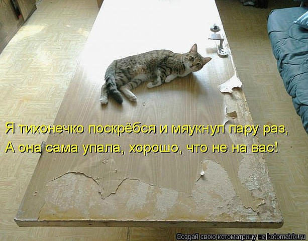 Александр Авдаков фотография #23