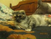 Фотография Павловой Любы