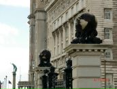 Dmitry Стрельцов фотография #48 (источник - https://vk.com/id8376314)