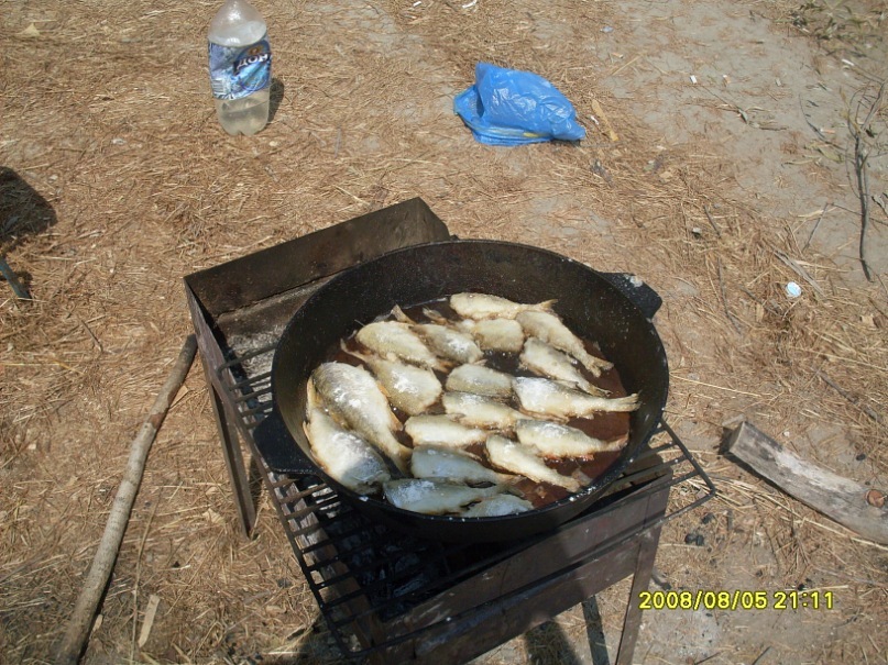 Денис Лисин фотография #32