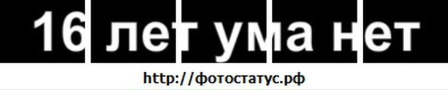 Оленка Палисвіт фотография #11 (источник - https://vk.com/id31721486)