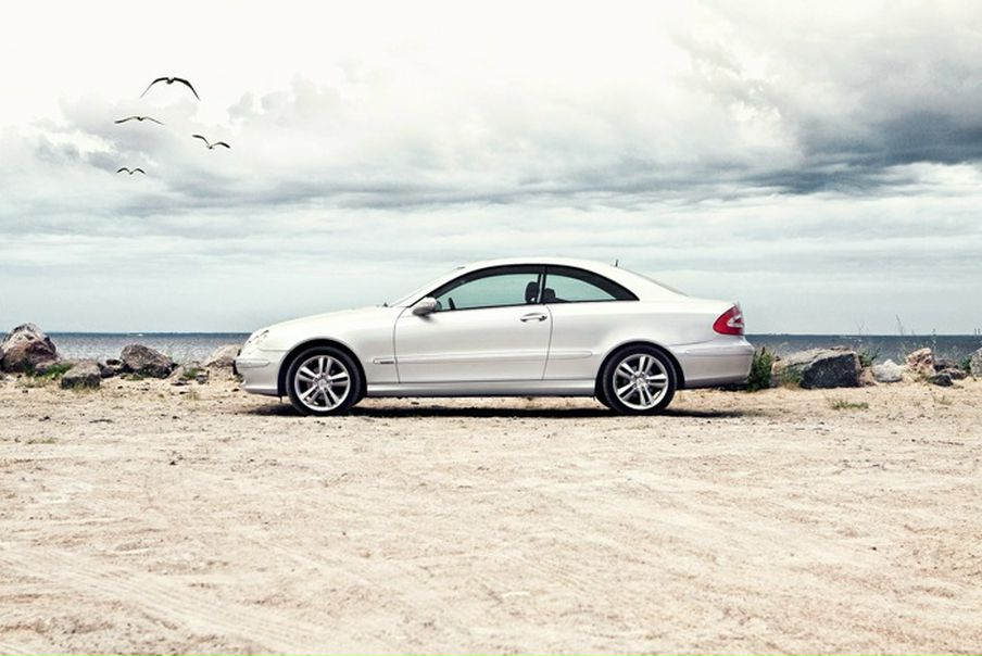 Misha Koshchenko фото №18