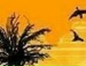 Андрій Антонюк фотография #36 (источник - https://vk.com/id92012802)