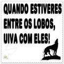 Marisa . фотография #1