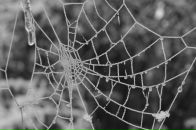 Фотография Калюты Андрея