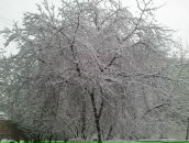 Анна Пономаренко фотография #49 (источник - https://vk.com/id3476248)