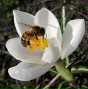 Алінка Радченко фотография #47 (источник - https://vk.com/id103669916)