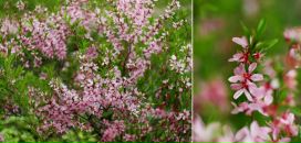 Ольга Моха фотография #32 (источник - https://vk.com/id2886236)