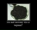Вова Капітоненко фотография #14 (источник - https://vk.com/id116587870)