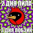 Катько Бирюкова фотография #15 (источник - https://vk.com/id26086263)