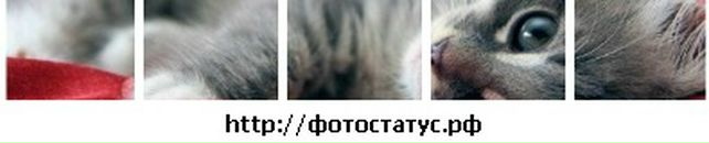 Віка Вінтоник фотография #9 (источник - https://vk.com/id67021646)