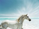Οлеся Κудрявцева фотография #12 (источник - https://vk.com/id169427654)