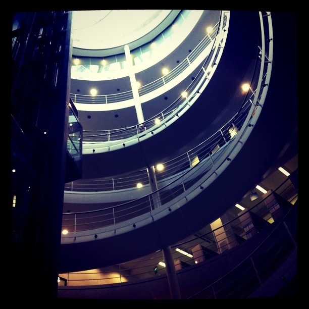 Thai Thai фотография #5