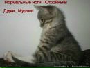 Фотография Уткиной Светланы