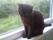 Фотография Полываного Назария