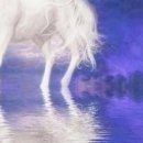 Марічка Кіцюня фотография #33 (источник - https://vk.com/id149621900)