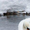 Марічка Кіцюня фотография #45 (источник - https://vk.com/id149621900)