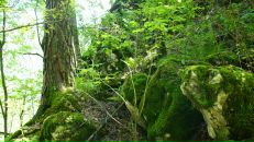 Фотография Волчека Евгения