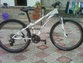 Дініс Федоряк фотография #44 (источник - https://vk.com/id85094244)