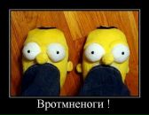 Оля Білик-Дворянська фотография #33 (источник - https://vk.com/id94354537)