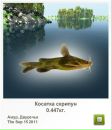 Вадім Горковенко фотография #13 (источник - https://vk.com/id132061658)