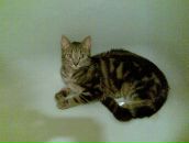 Фотография Смирновой Анны